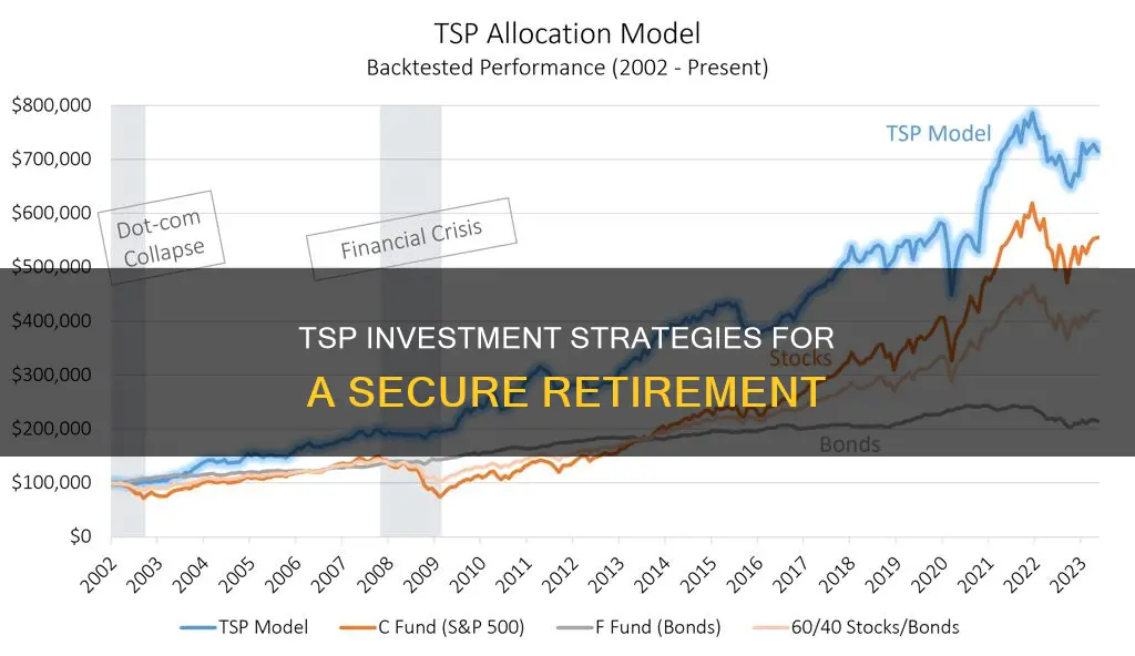 how should I invest my tsp after retirement