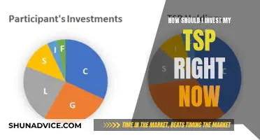 TSP: Invest Now, Secure Your Future