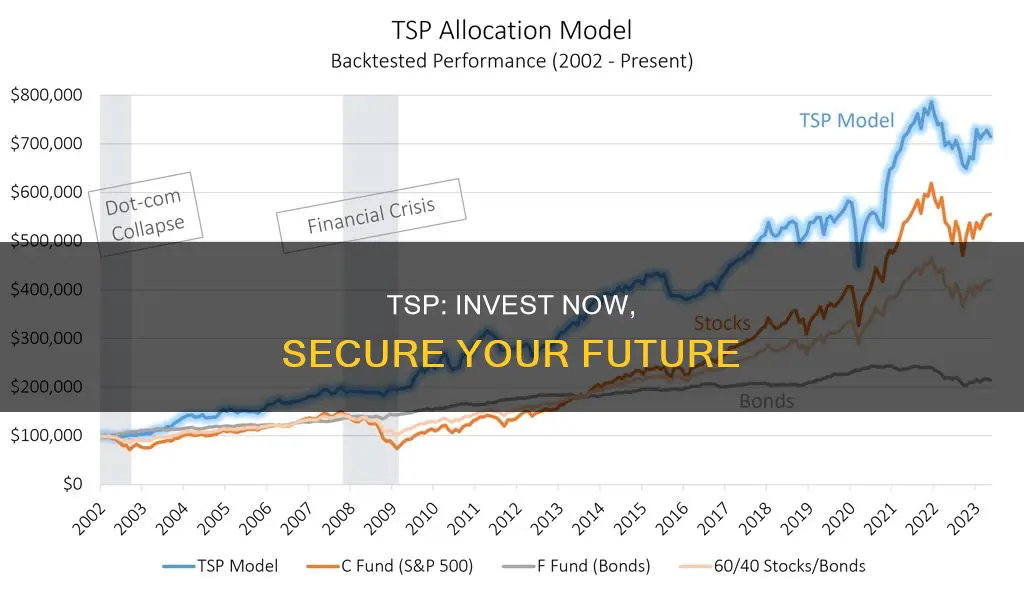 how should I invest my tsp right now