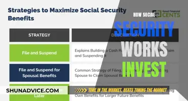 Unraveling Social Security's Investment Strategies: A Comprehensive Guide