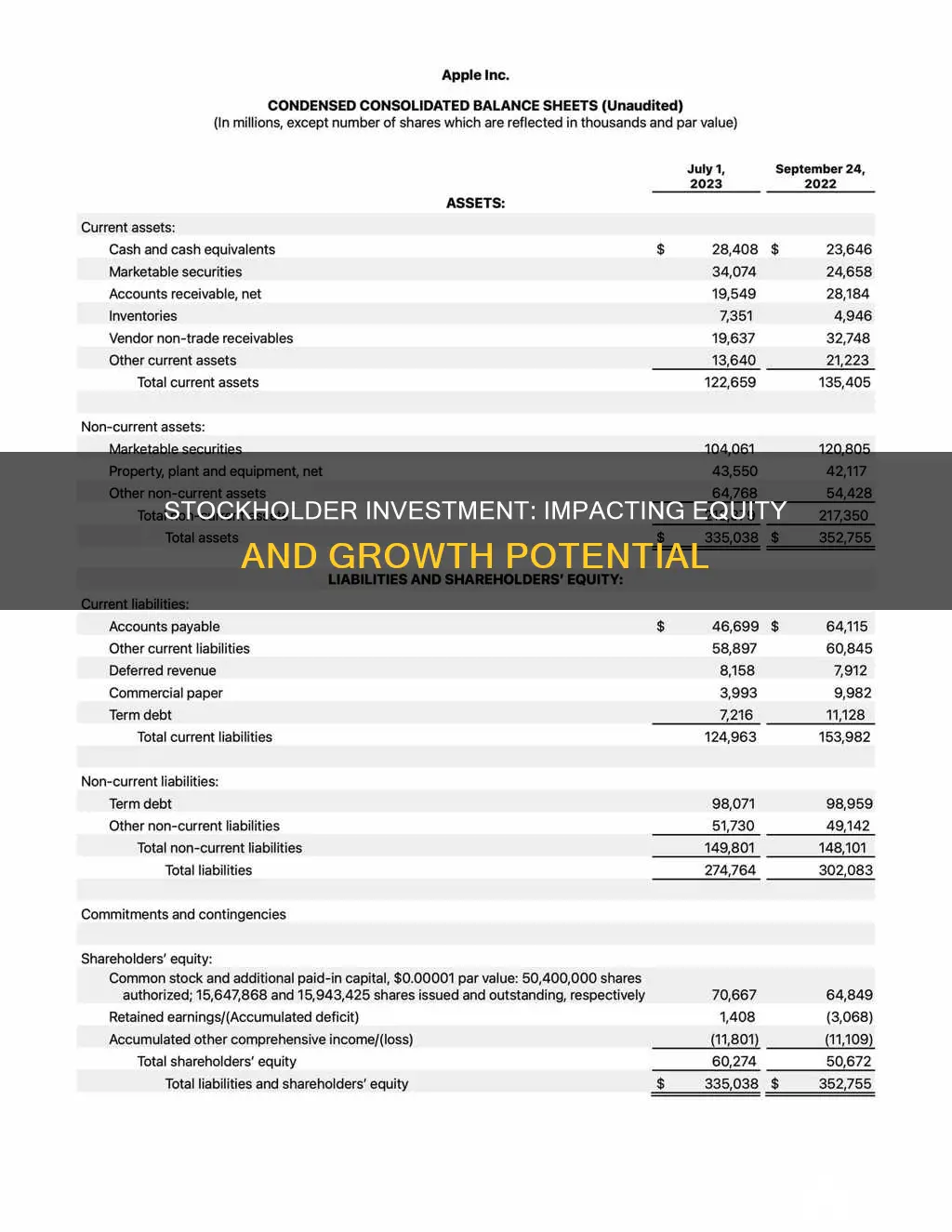 how stockholder investment affects equity