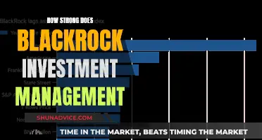 BlackRock Investment Management: A Force to be Reckoned With?