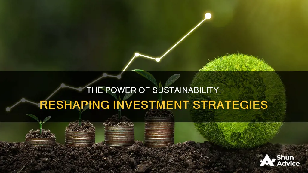 how sustainable will influence investment decisions