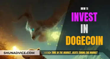 Dogecoin Investment Guide: Strategies for Beginners