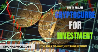 Cryptocurrency Investment: Analyzing the Digital Currency Market