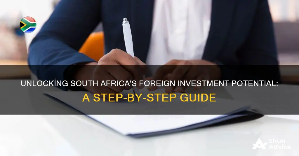 how to apply for south african foreign investment allowance