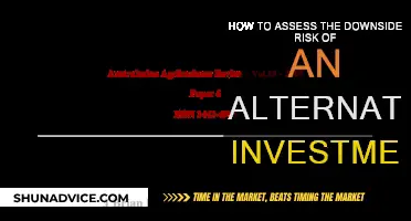 Assessing Downside Risk in Alternative Investments: A Guide