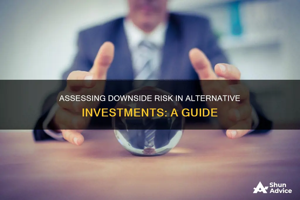 how to assess the downside risk of an alternative investment