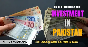 Unlocking FDI: Strategies for Pakistan's Investment Magnetism