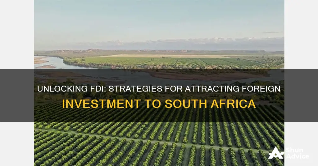 how to attract foreign direct investment in south africa