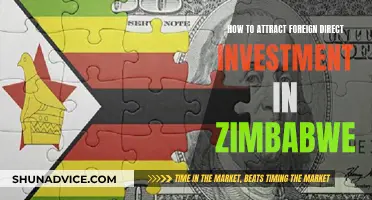 Unlocking Zimbabwe's Investment Potential: Strategies for Attracting Foreign Capital