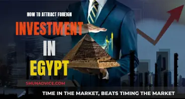 Unlocking Egypt's Investment Potential: Strategies for Global Capital