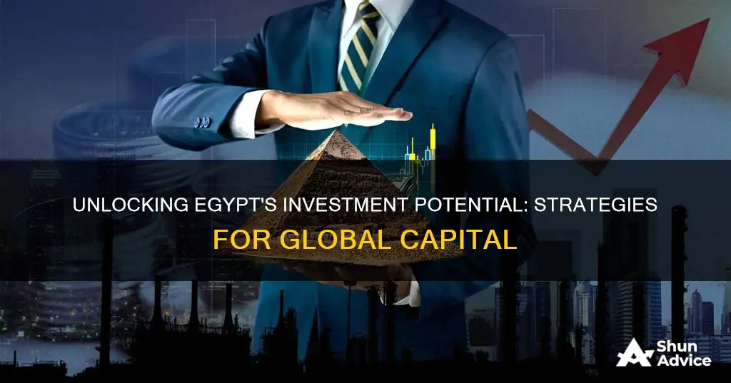 how to attract foreign investment in egypt