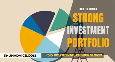 Building a Robust Investment Portfolio: Strategies for Success