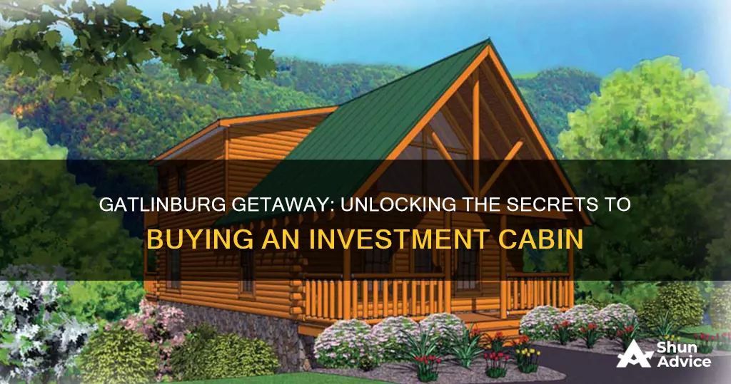 how to buy a investment cabin in gatlinburg