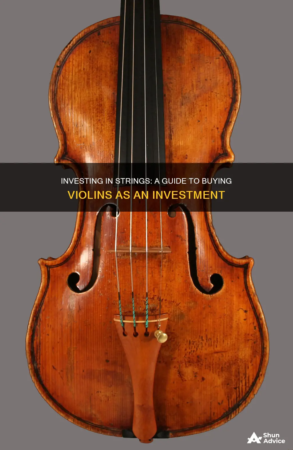 how to buy a violin for investment