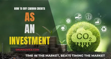 Carbon Credits: The Investment Opportunity