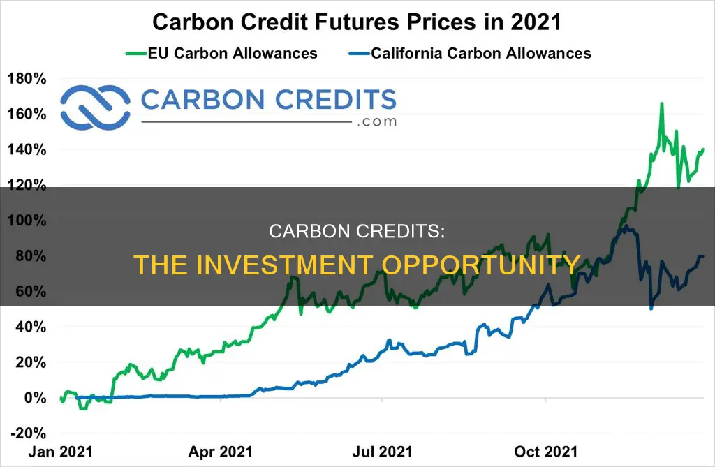 how to buy carbon credits as an investment