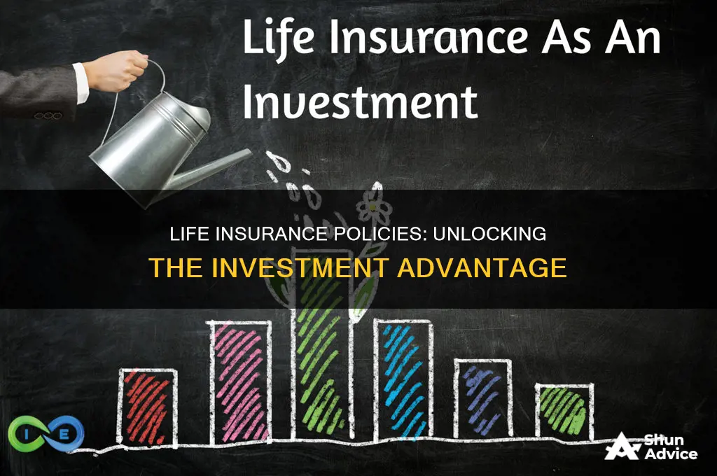 how to buy lofe insirance policy as an investment