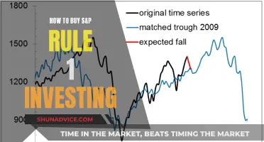 S&P Rule 1 Investing: A Beginner's Guide to Getting Started