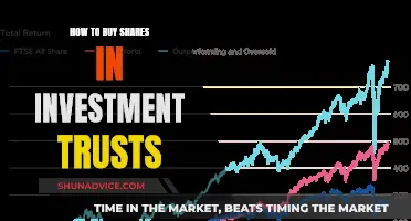 Understanding the Basics: A Guide to Buying Shares in Investment Trusts