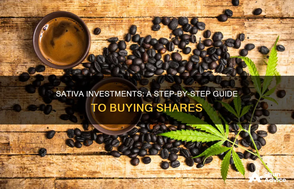 how to buy shares in sativa investments