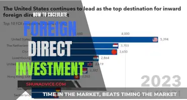 Unlocking FDI: A Comprehensive Guide to Calculating Foreign Direct Investment