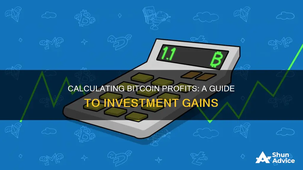 how to calculate bitcoin investment profit