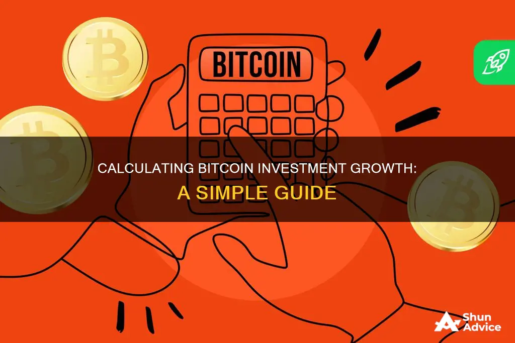 how to calculate investment increase for bitcoin