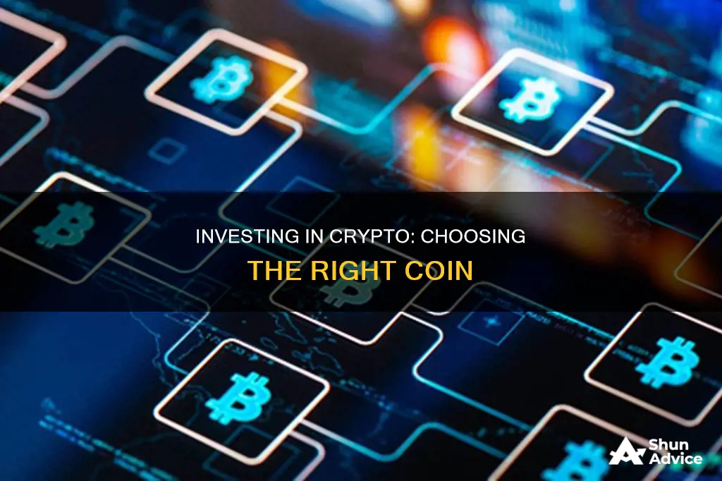 how to choose a coin to invest in