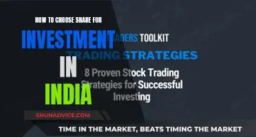 Choosing the Right Indian Stocks: A Guide