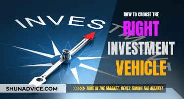 Smart Investment Vehicle Choices