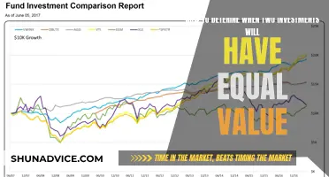 Strategic Synchronization: Unraveling the Art of Equalizing Investment Values