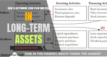 Understanding Long-Term Investment: Cash Flow and Asset Allocation