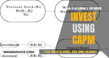 CAPM: Should You Invest?