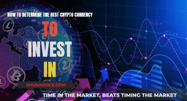 Best Crypto to Invest: How to Choose Wisely