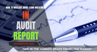 Disclosing Short-Term Investments: A Guide for Audit Professionals