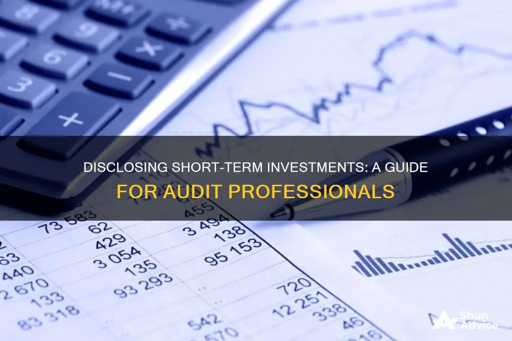 how to disclose short term investment in audit report