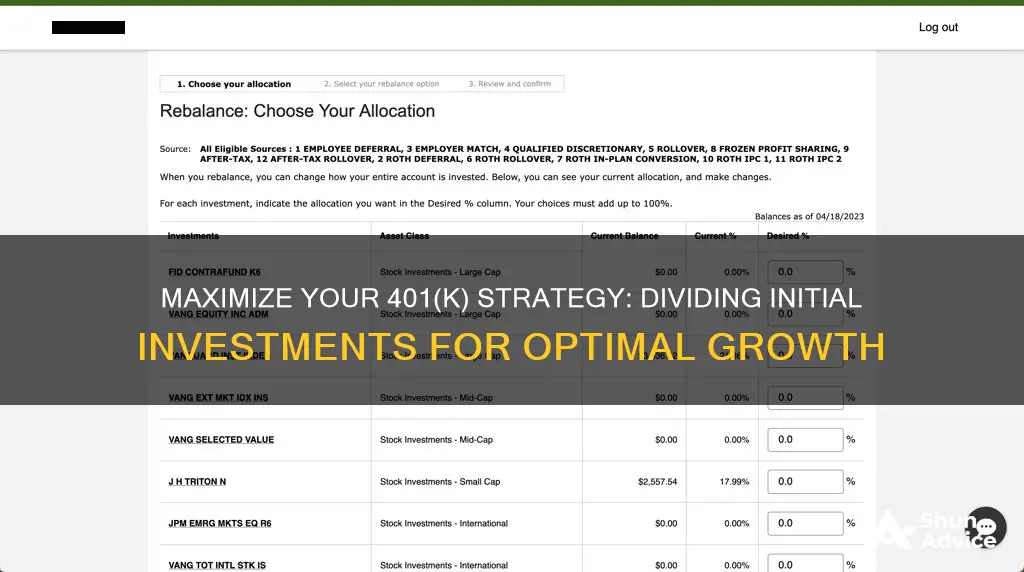 how to divide 401k investments on intital form