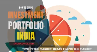 Strategies for Dividing Your Indian Investment Portfolio