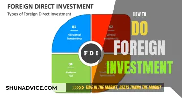 Unlocking Global Growth: A Guide to Foreign Investment Strategies