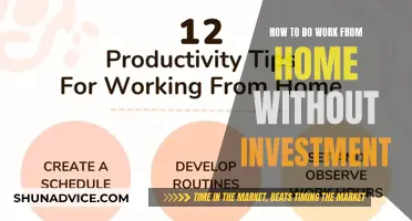 Productive Work-From-Home Tips: No Investment Required!