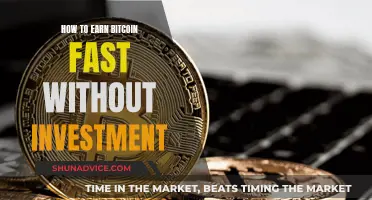 Fast Bitcoin: Earn Without Investment