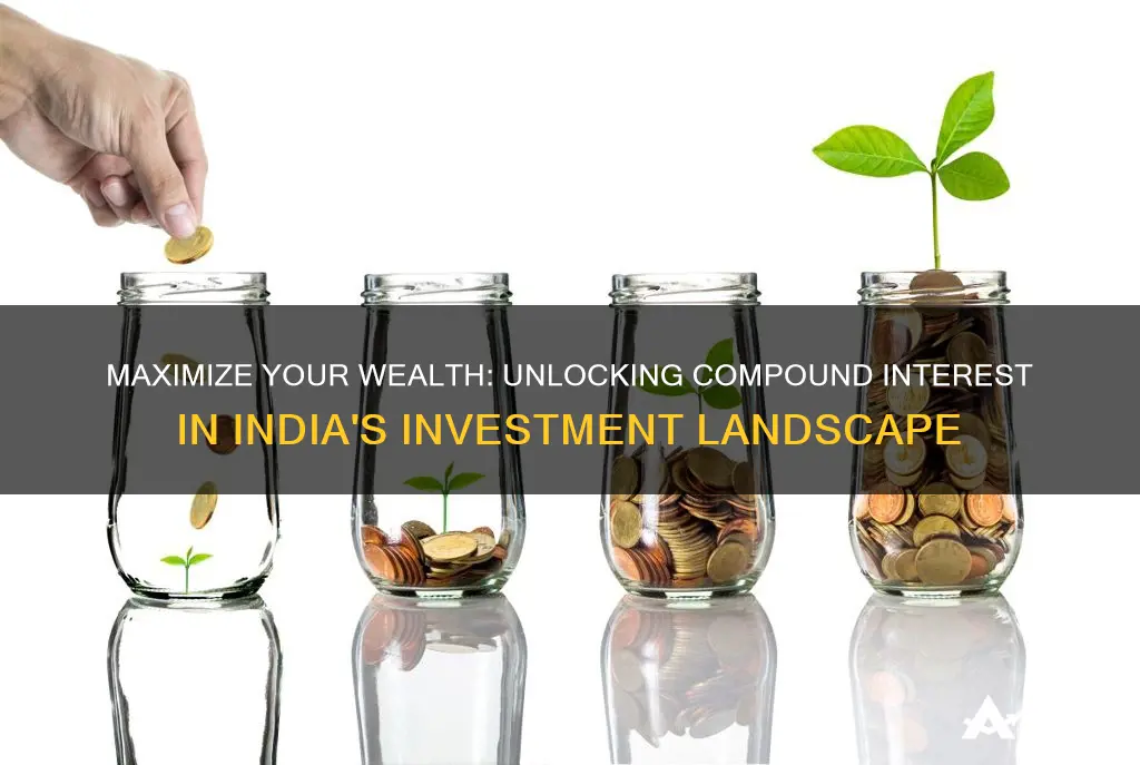 how to earn compound interest on an investment in india