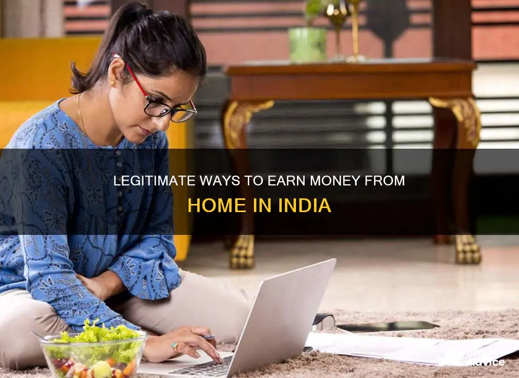 how to earn from home in india without investment