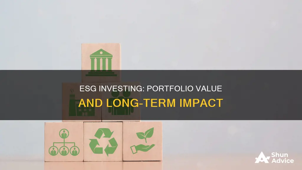 how to esg investing add value to portfolio