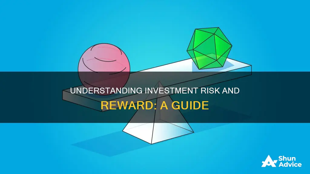 how to estimate risk and reward of an investment