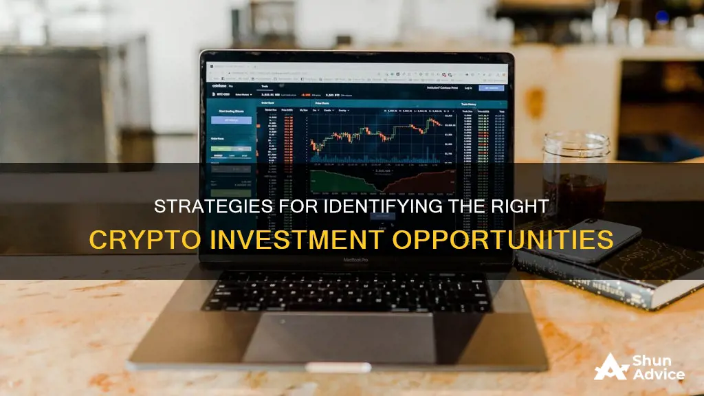 how to find a crypto to invest in