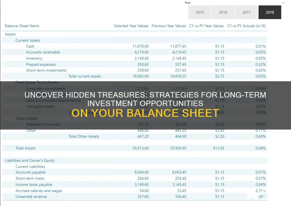 how to find long term investments on balance sheet