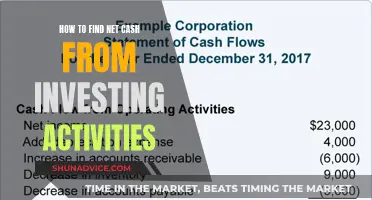 Understanding Net Cash Flow from Investing Activities